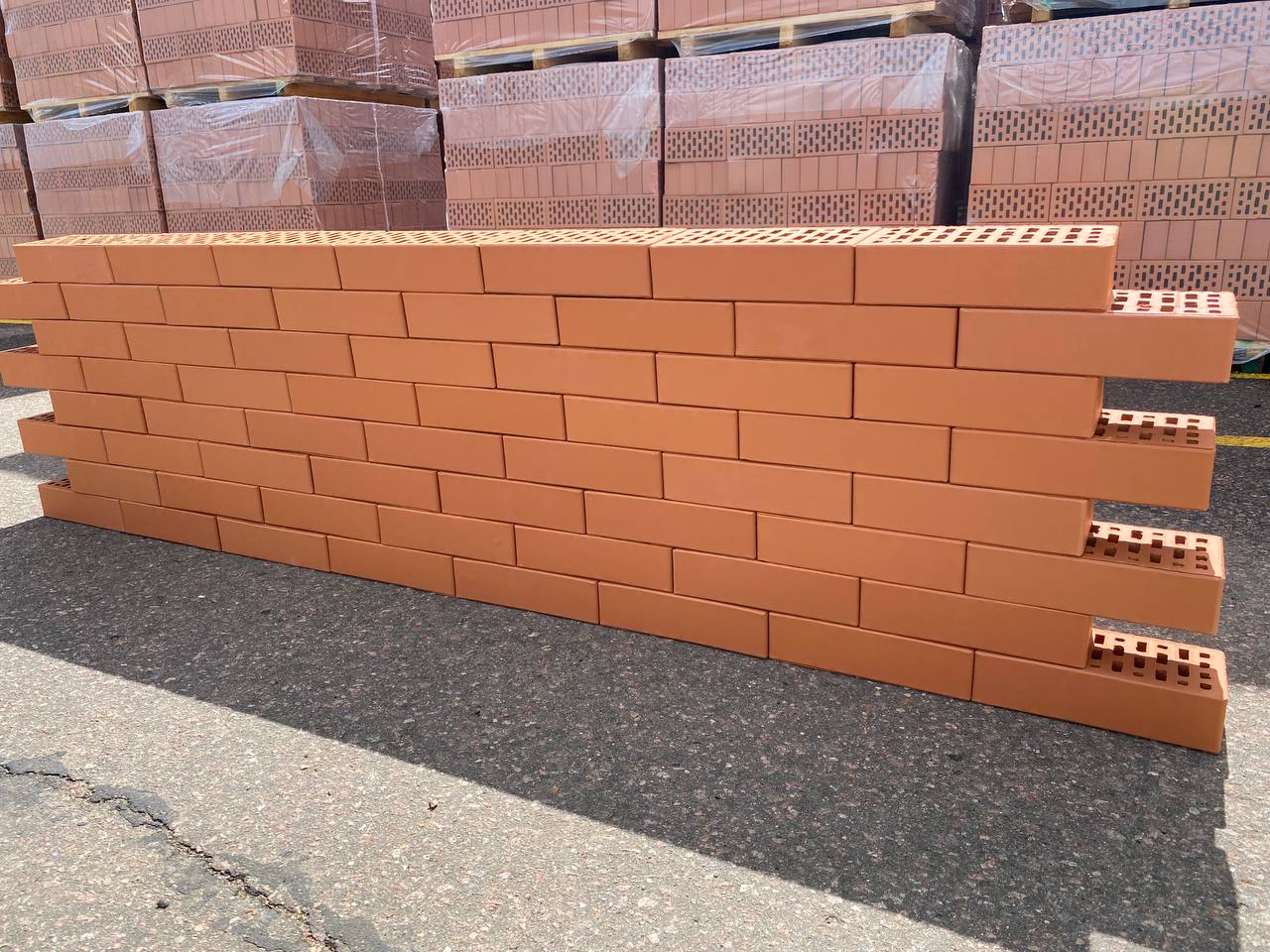 Кирпич керамический облицовочный пустотелый одинарный гладкий КР-л-пу 1НФ 250x120x65 красный M200